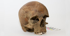Caucasian man's skull dating to 1600s found in eastern Australia