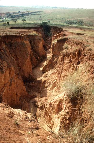 Faktor lereng sangat mempengaruhi erosi  yang terjadi 