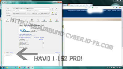 Havij 1.152 Pro! Gratis kAYUAGUNG cYBER tEAM