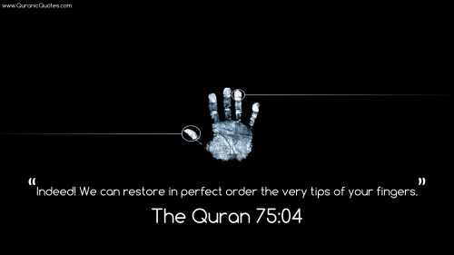 Quran Quotes