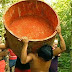 ÍNDIOS GAVIÃO FAZEM CORRIDA DE TORAS NO SUDESTE DO PARÁ