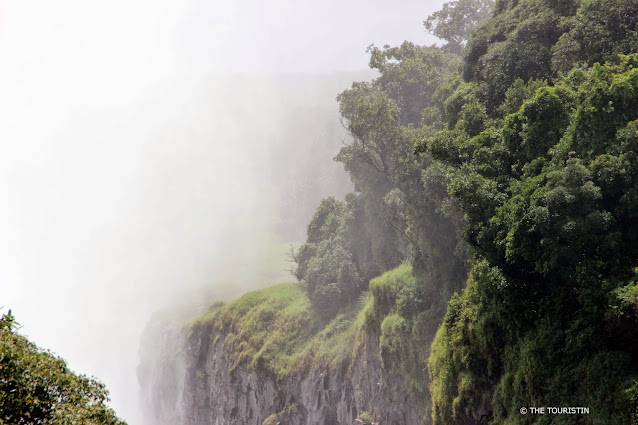 Dense spray of a waterfall.