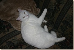Snooky 005
