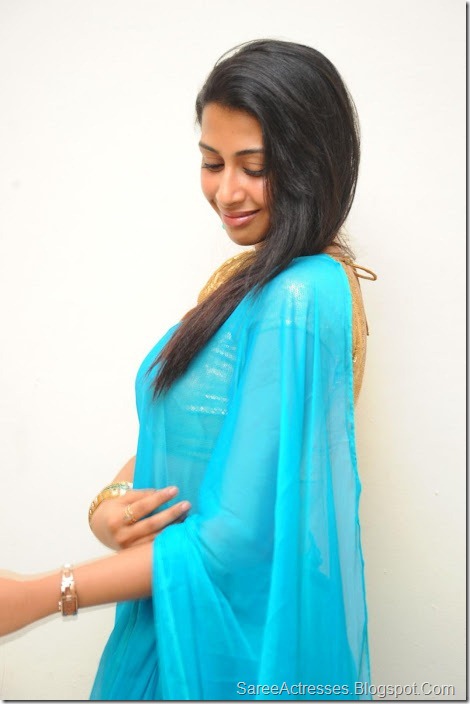 Gayathri Iyer Hot in Blue Saree 6