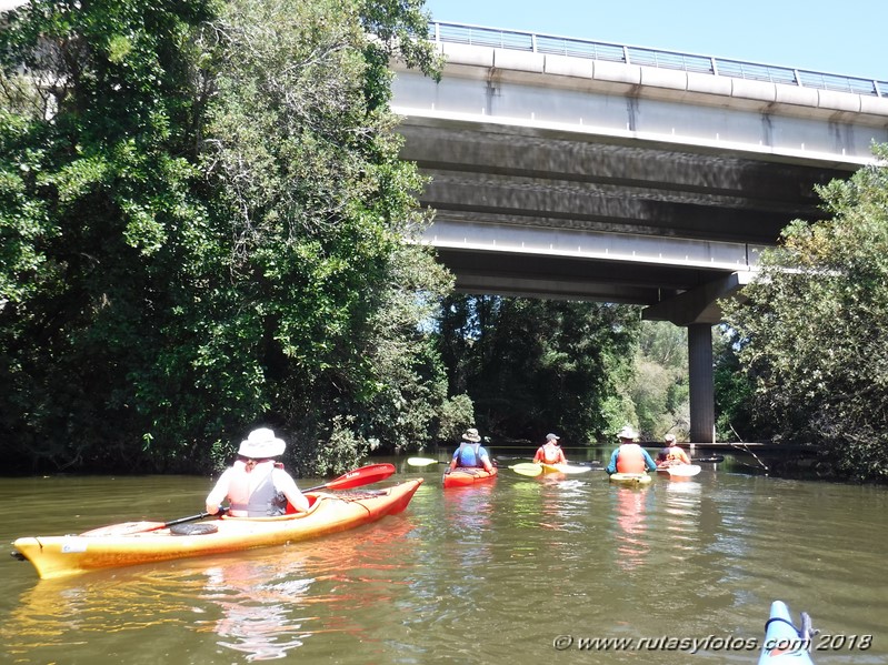 Kayak río Palmones