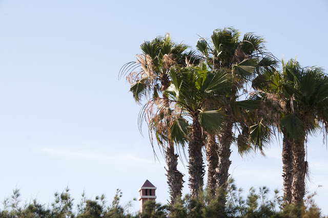 playa de san agustin