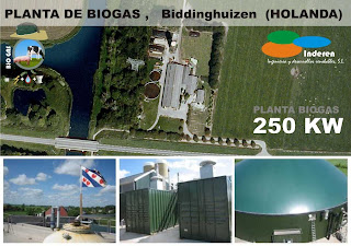 instaladores planta de biogas BiODIGESTORES biddinghuizem holanda 250 KW INDEREN ENERGIAS RENOVABLES VALENCIA