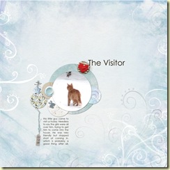 The-visitor