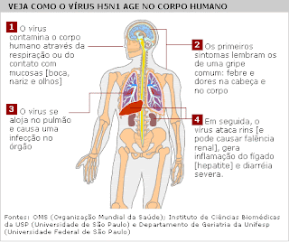 tratamento da gripe, prevenção da gripe, profilaxia da gripe, sintomas do resfriado, sintomas de gripe h1n1, gripe remedio caseiro, causas da gripe, gripe a