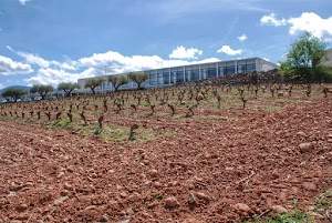 Finca Los Arandinos