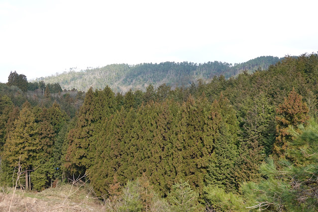 鳥取県米子市淀江町本宮 稲吉本宮線の農道からの眺望