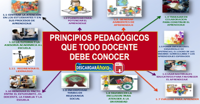 principios pedagógicos que todo docente debe conocer