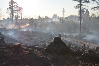 Fire crews battle 70-acre wildfire in Upper Peninsula