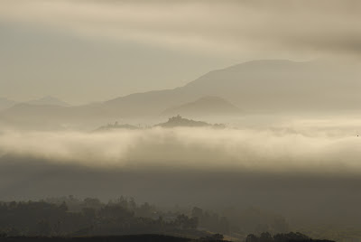 foggy mountain range: LadyD Books