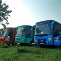 Sewa Bus Jogja Tujuan Mojosemi Forest Park Jawa Timur