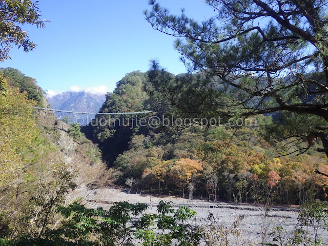 Taiwan Aowanda (奧萬大) maple season - Aowanda Suspension Bridge