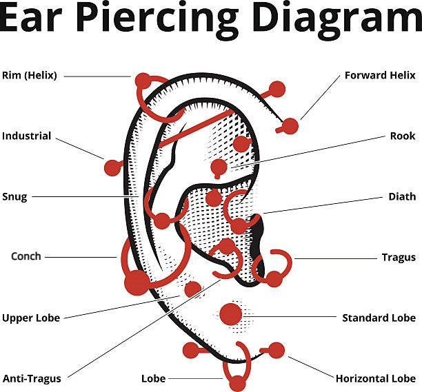 ear piercing options