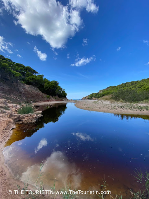 A lagoon in a sandy canyon surrounded by lush greenery under a bright blue sky.