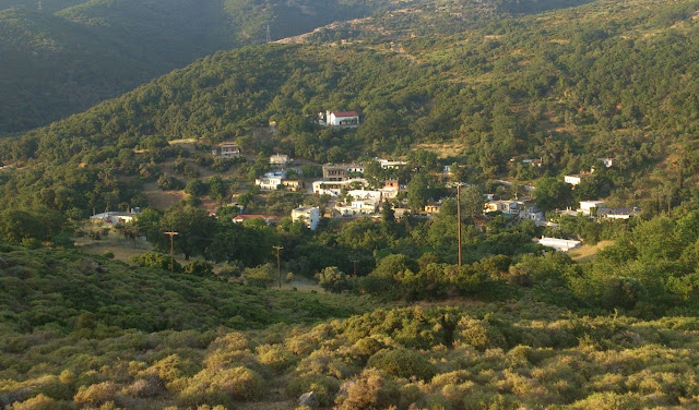 πλάτανος,παραδείσι