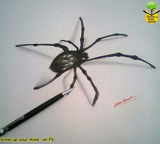 رسم عنكبوت ثلاثي الابعاد