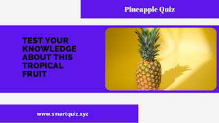 Pineapple Quiz: Test Your Knowledge About This Tropical Fruit!