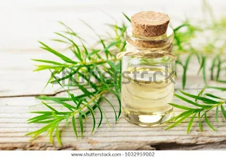 Tea tree oil