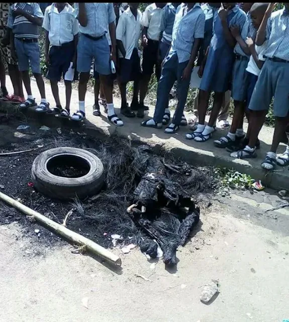  Photos: Angry mob set suspected kidnapper ablaze in Calabar