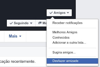 Como apago um amigo do Face