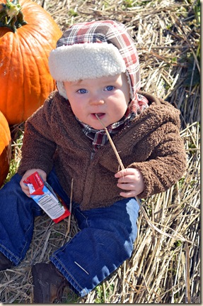 edited pumpkin patch 014