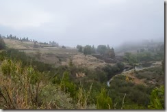 DSC_0052