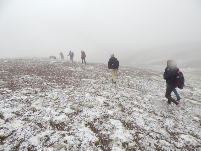 Laguna Yanaulla trekking