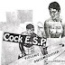 Violent Onsen Geisha / Cock E.S.P. ‎– Collaboration