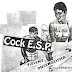 Violent Onsen Geisha / Cock E.S.P. – Collaboration