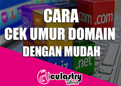 Cara Mengecek Umur Domain Dengan Mudah