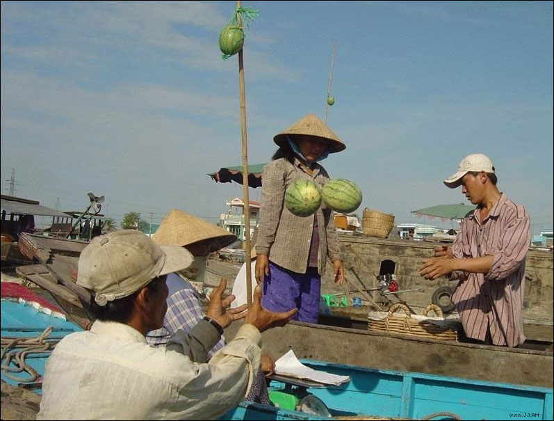 Melons_timing.jpg