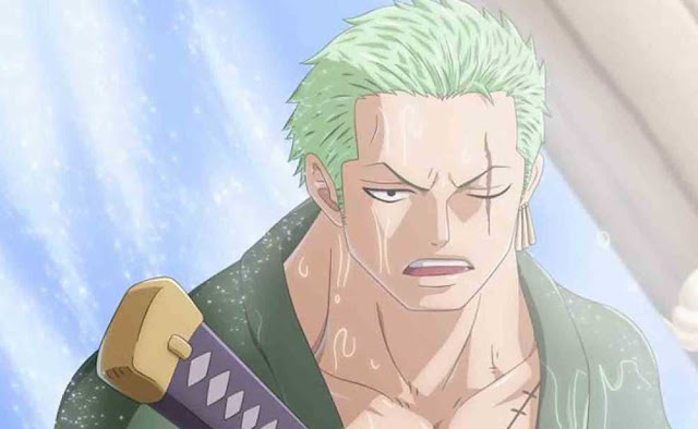 What caused the scar on Zoro's left eye?