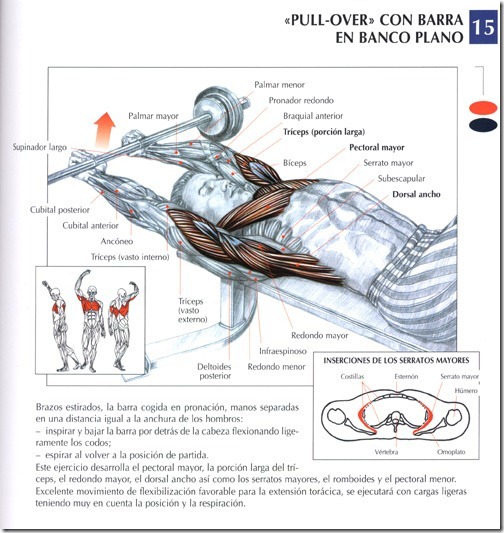 pull-over-con-barra-en-banco-plano