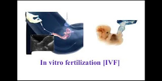 IVF fails