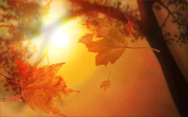 Autumn Gifs Images8