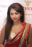 Amala, Paul, New, Hot-Photo, in, Saree, 