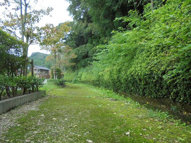 上淀廃寺跡に向かいます