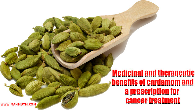 Medicinal and therapeutic benefits of cardamom and a prescription for cancer treatment