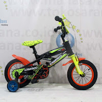 12 Erminio 2304 New BMX