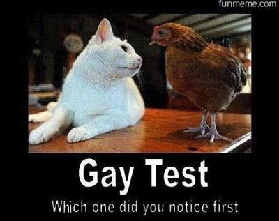 Gay Test - Which one did you notice first?