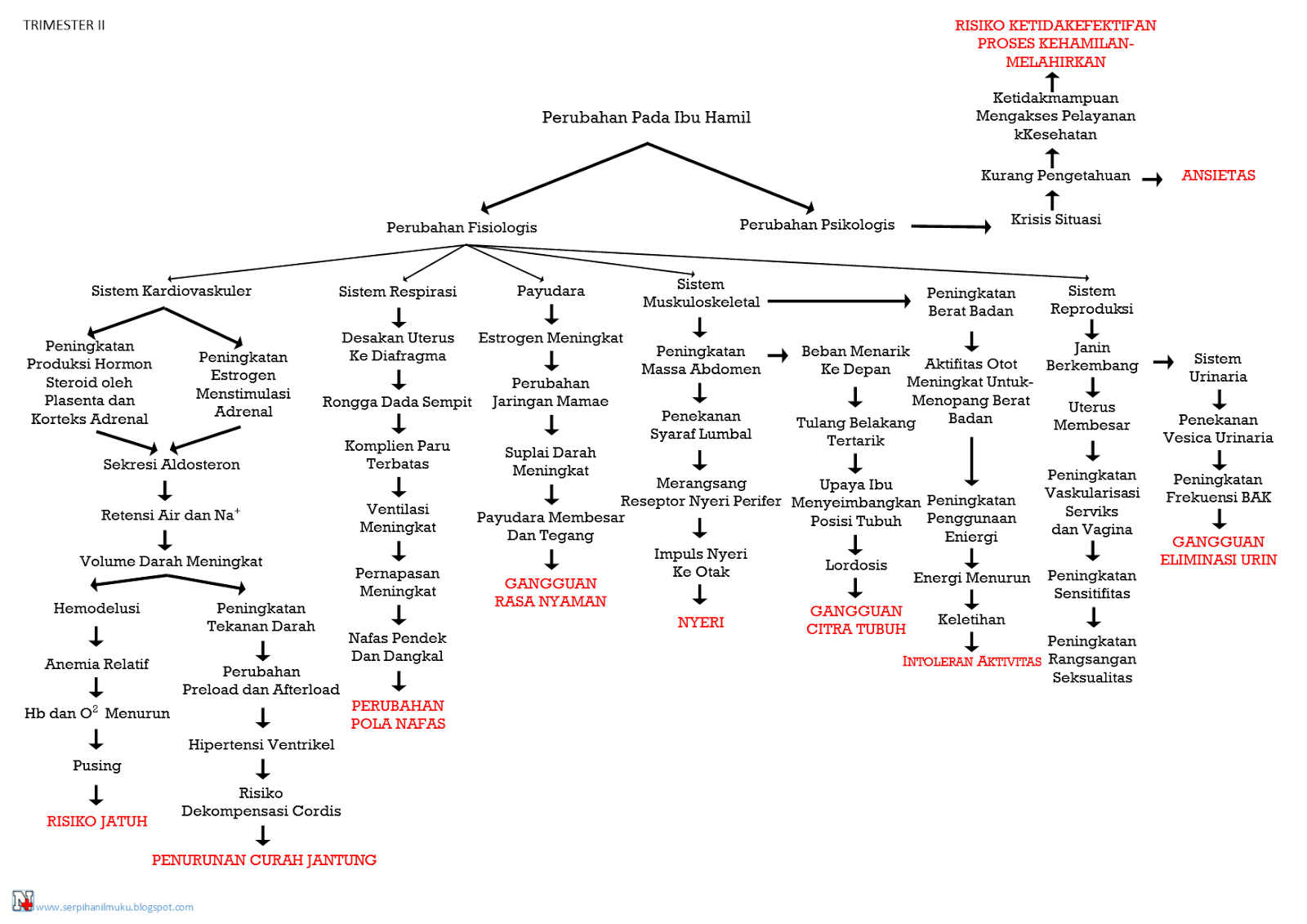 Pathway Kehamilan Trimester II