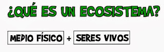 http://catedu.es/chuegos/kono/sexto/t1/eco.swf