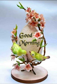 Shaniwar Good Morning Images &Shanidev Photo Wishes  In Hindi 