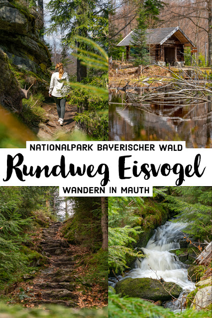 Traumtour Eisvogel | Rundweg Nationalpark Bayerischer Wald | Wandern Mauth 03