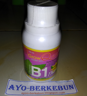 jual vitamin b1 untuk tanaman