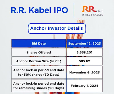 RR Kabel  IPO Investor Details